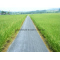 PP Woven Geotextile Fabric Ground Cover